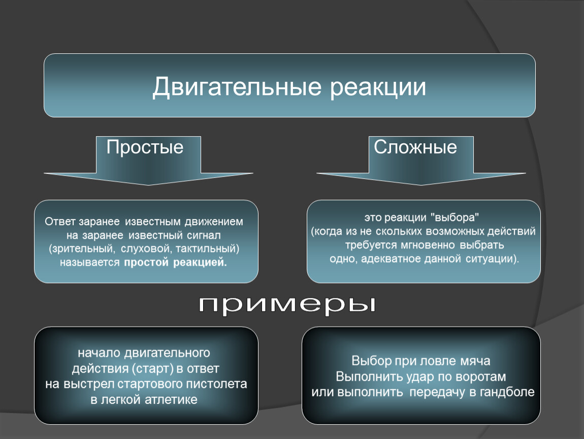 Движение выберите 1 ответ. Примеры простой и сложной двигательной реакции. Сложная двигательная реакция. Примеры простой двигательной реакции. Разновидности сложной двигательной реакции.