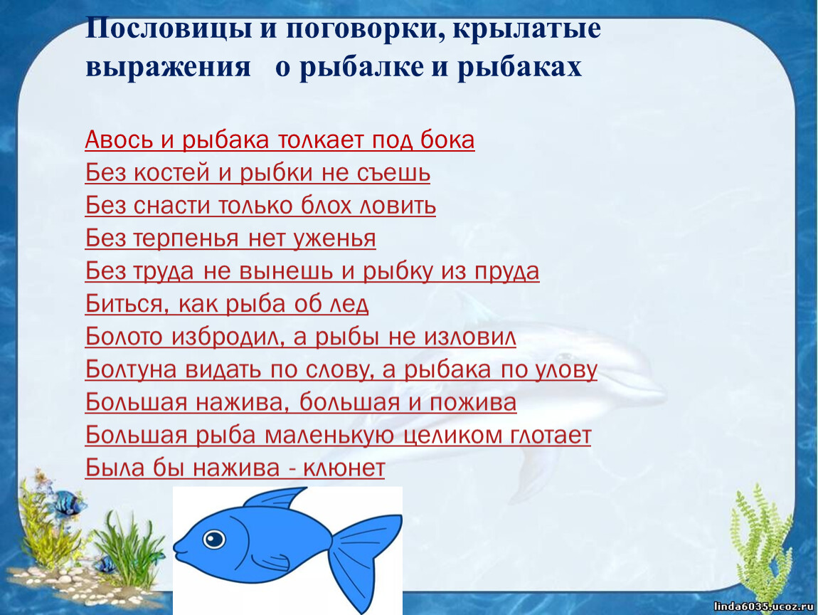 Бьюсь как рыба. Биться как рыба об лед. Биться как рыба об лед значение. Поговорка как рыба об лёд.