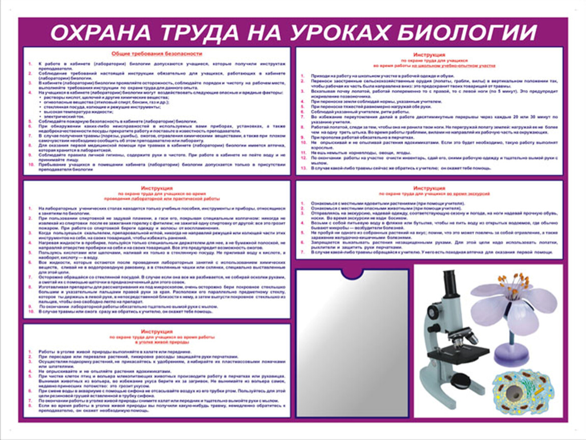 Охрана труда на уроках биологии. Правила работы в кабинете биологии. Техника безопасности в кабинете биологии. Техника безопасности на уроках биологии.