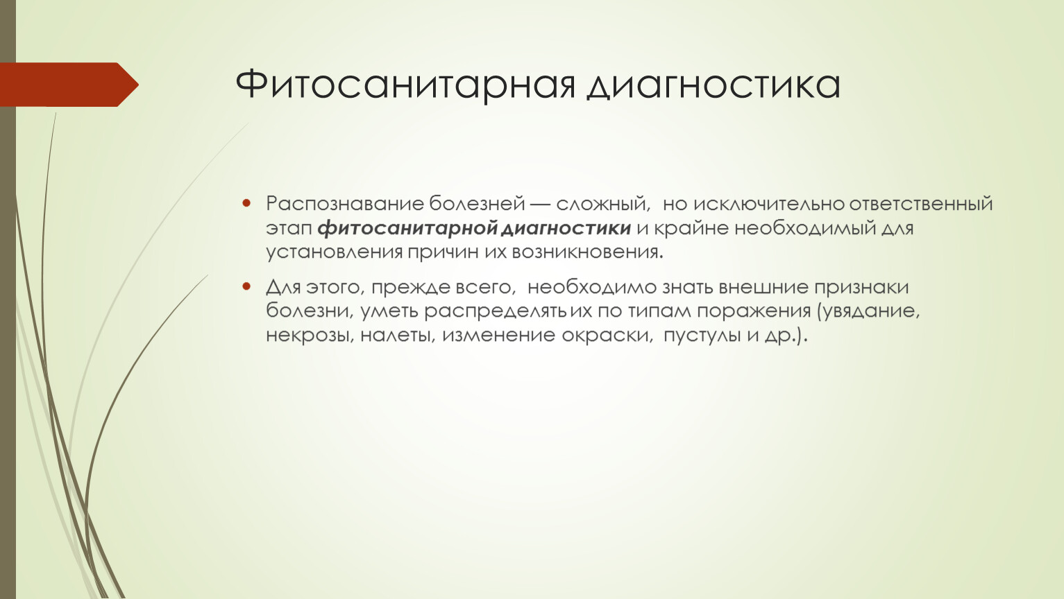 Распознавание болезни. Планирование налоговых проверок. Система планирования выездных налоговых проверок. Принципы планирования налоговых проверок. Концепция системы проведения выездных налоговых проверок.