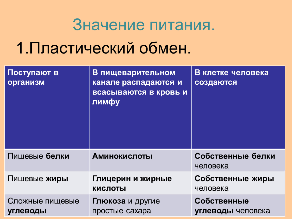 Пластический обмен картинки