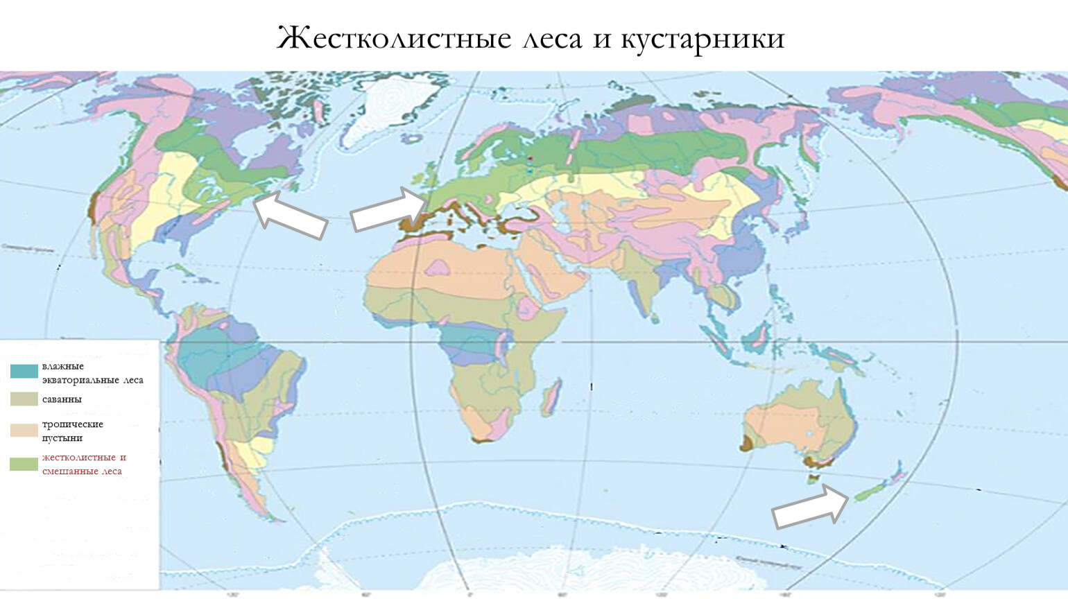 Природные зоны земли карта 7 класс география