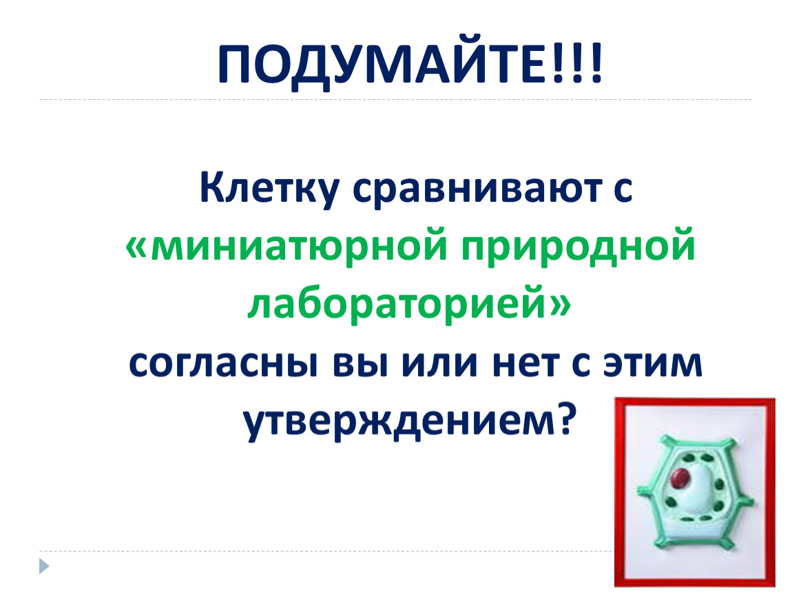 Вывод строение клетки. Вопрос по теме цитология наука о клетке. Вопросы про клетку. Клетка миниатюрная природная лаборатория 5 класс. Почему клетку принято считать единицей всего живого.