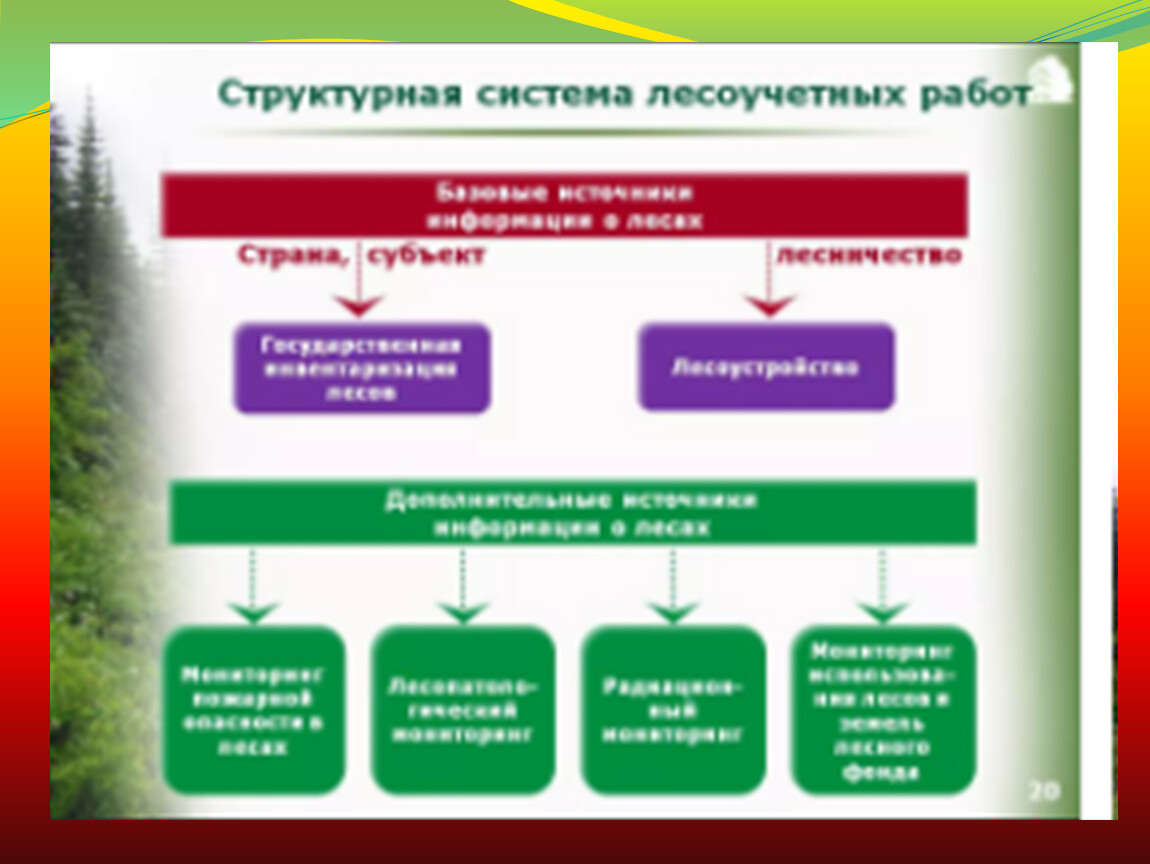 Система организации лесов. Структура лесоустроительных работ. Способы мониторинга леса. Организация лесоустройства. Методы лесоустройства.