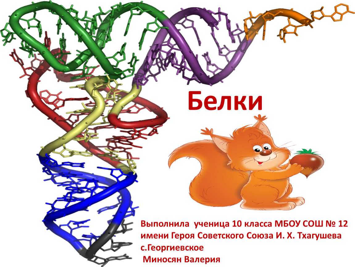 Белок б. Белки химия. Понятие о белках химия. Белки химия презентация. Химия белков презентация.