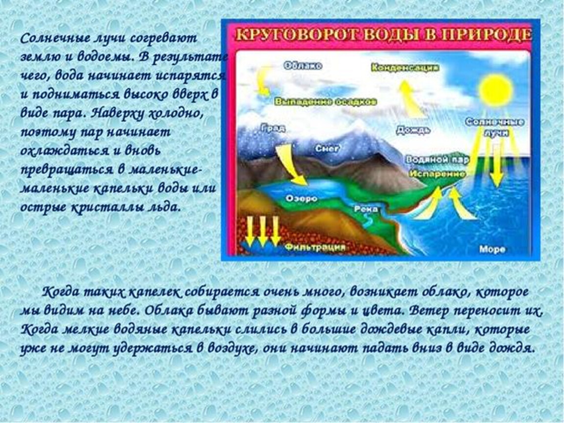 Почему идет дождь и дует ветер презентация 1 класс окружающий мир плешаков конспект урока