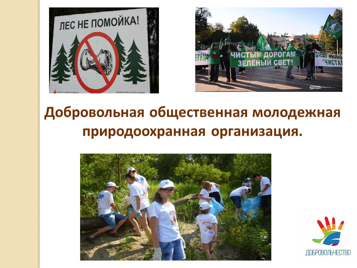 Проблемы экологии волонтерское экологическое движение