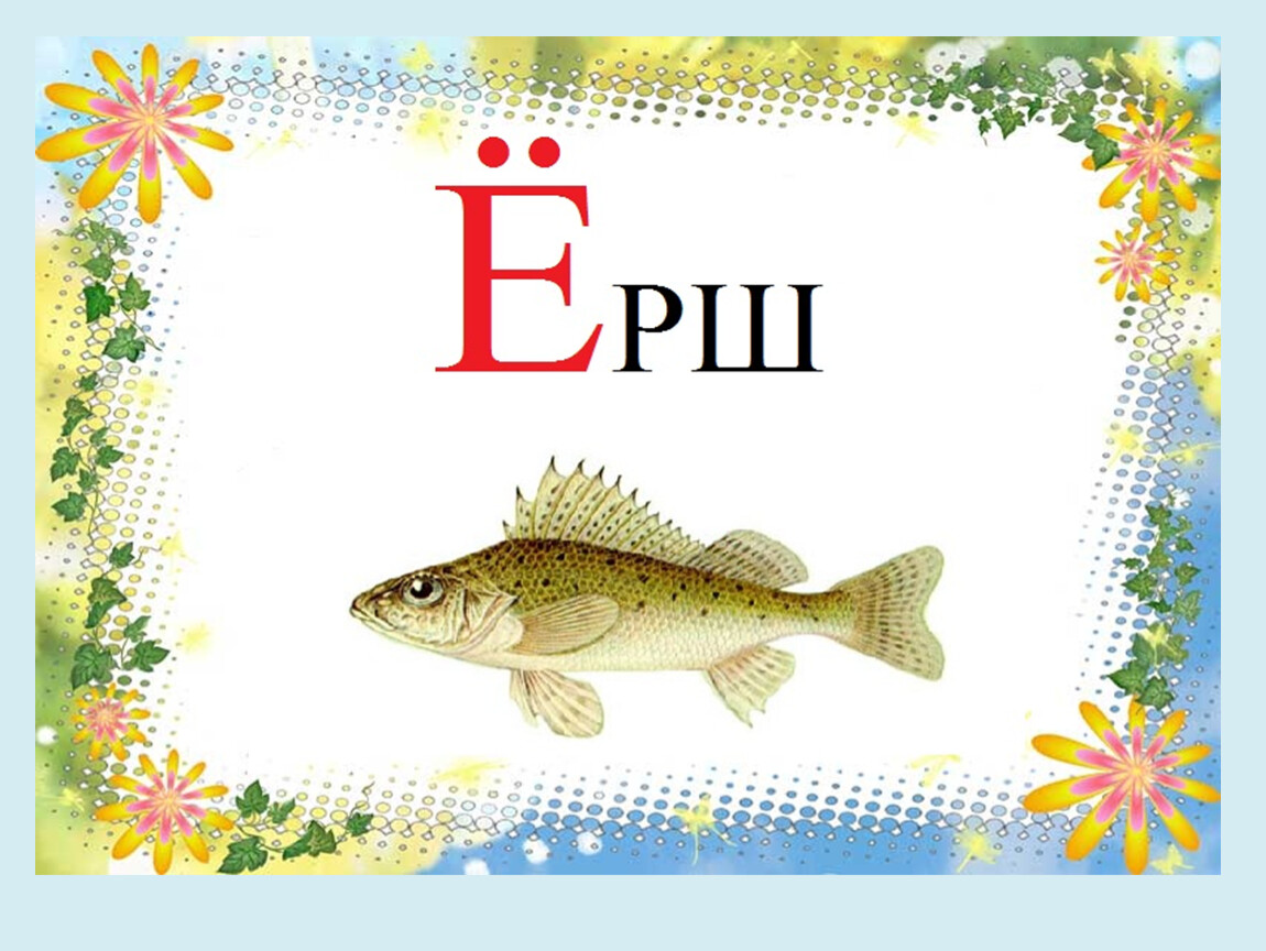 Рыба на букву н 4 буквы. Карточки рыбы для детей. Буква ё картинки. Слова на букву е рисунок. Рыба на букву е.