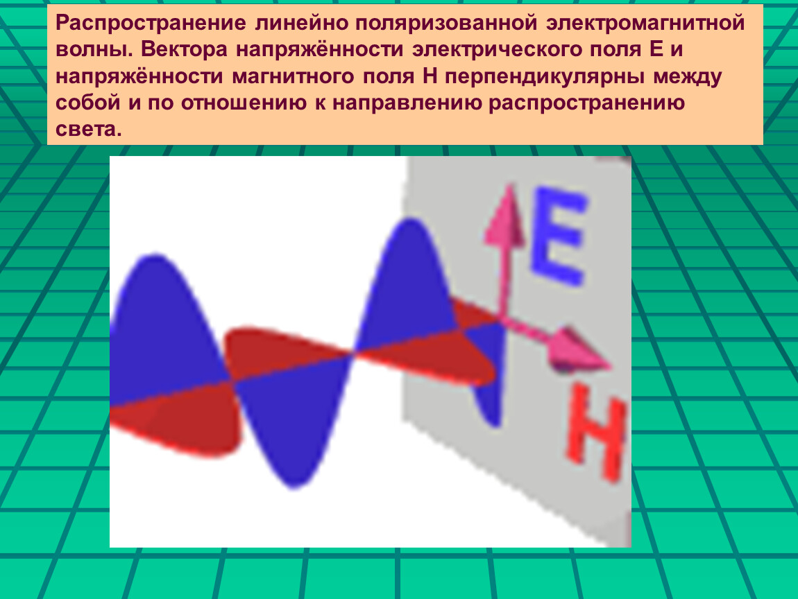 В электромагнитной волне вектор в. Линейная поляризация электромагнитных волн. Вектор напряженности электрического и магнитного поля. Вектор распространения электромагнитной волны. Линейно поляризованной электромагнитной волны.