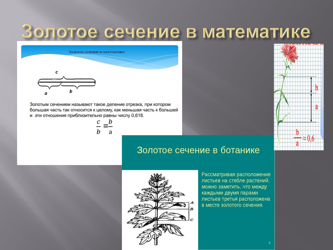 Математические художества проект 7 класс