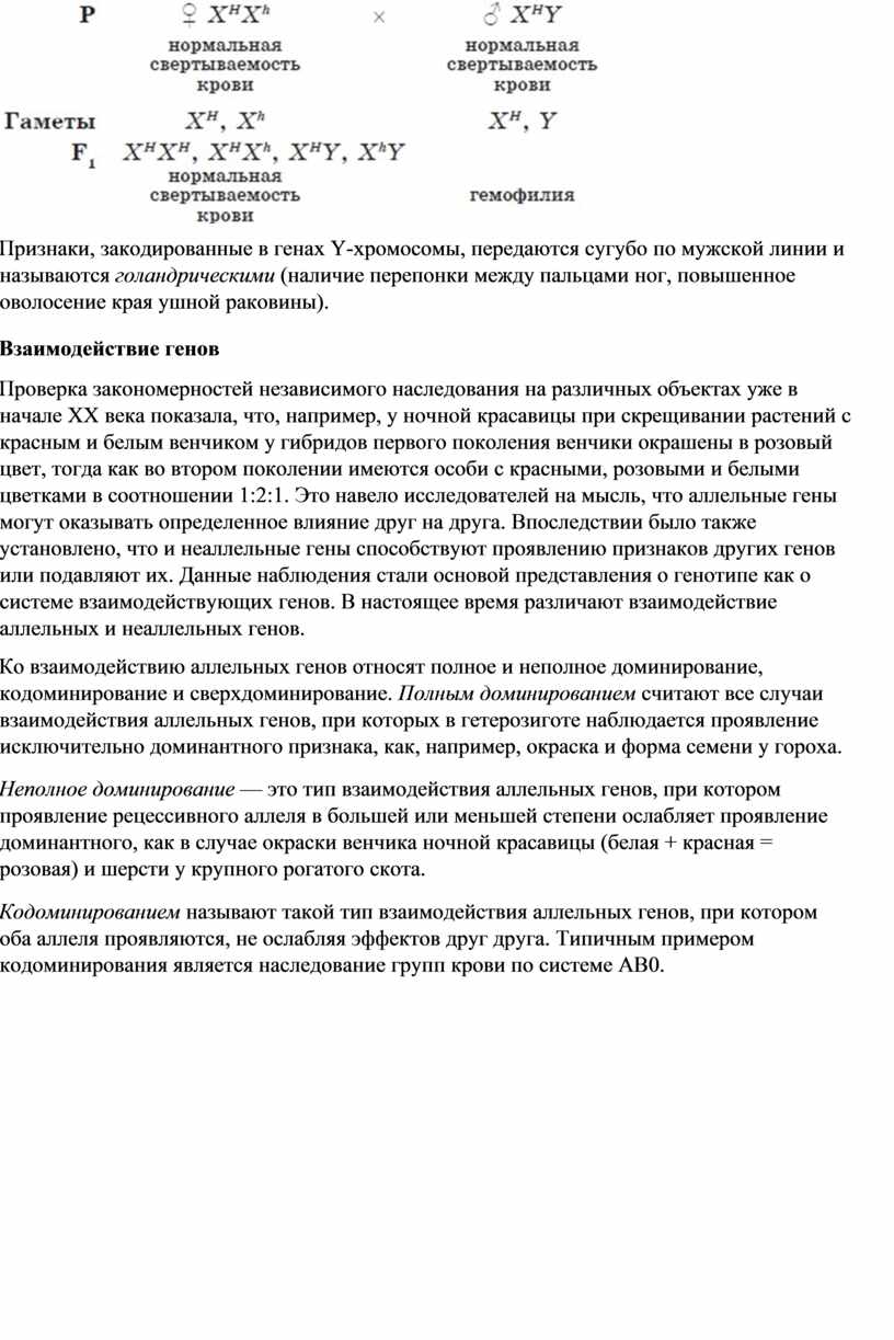 Определите чем различаются пептиды закодированные в следующих участках мрнк цуу ггц