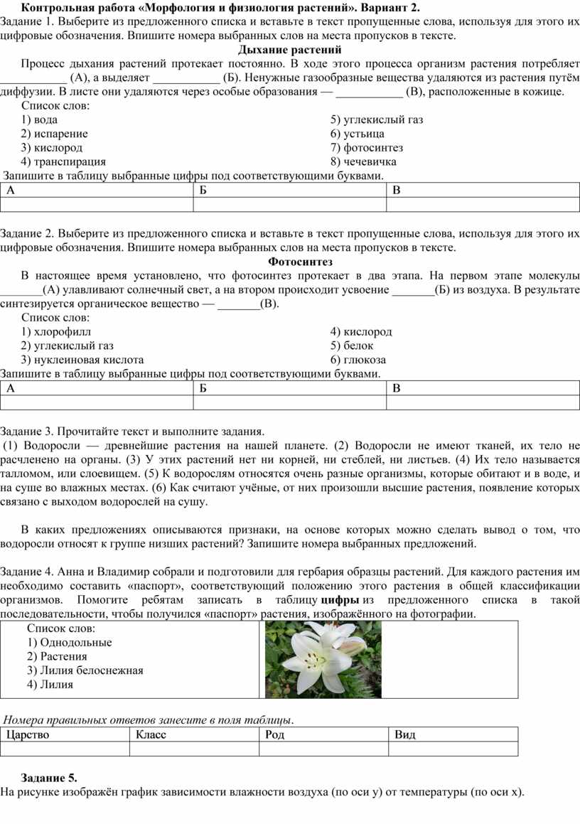 Итоговая работа по биологии за 6 класс 