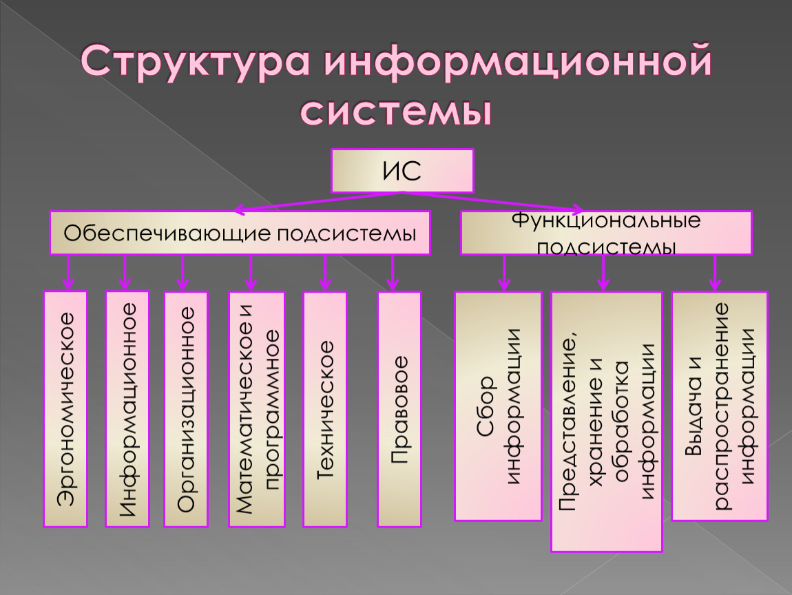 Информационная структура включает