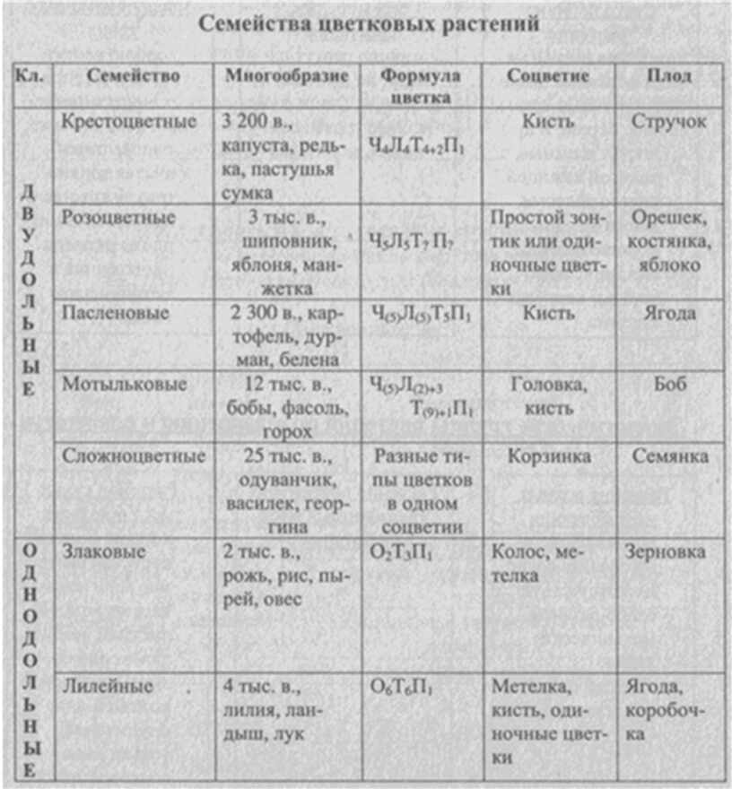 Таблица цветковые. Таблица семейство цветковых растений биология 6. Семейства цветковых растений таблица. Классификация цветковых растений таблица. Основные семейства цветковых растений таблица.