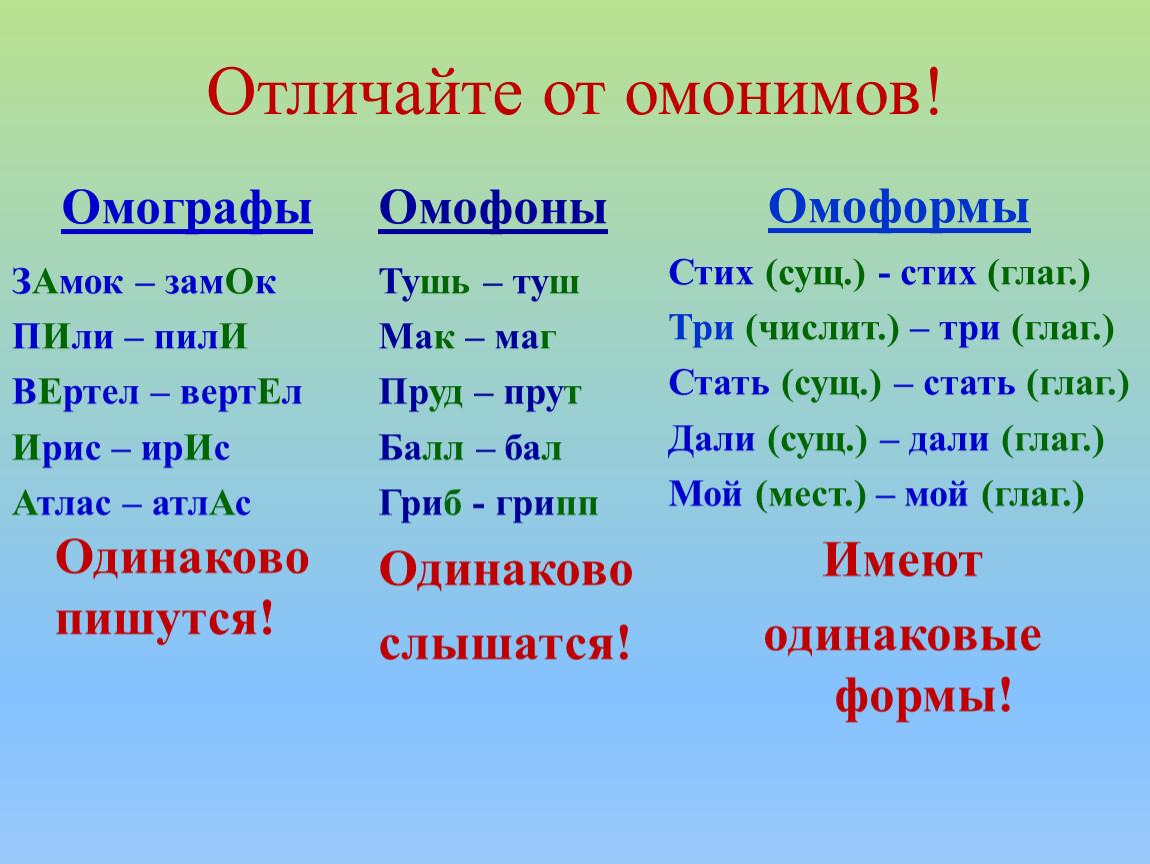 Выделите омонимы