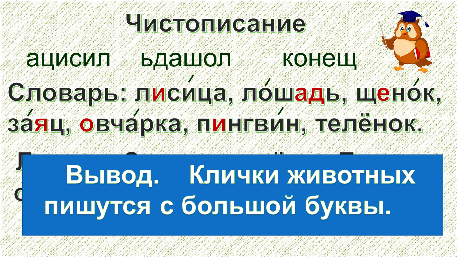 С какой буквы пишется кличка. Большая буква в кличках животных. Задания большая буква в кличках животных. Клички животных пишутся с большой буквы. Карточка большая буква в кличках животных.