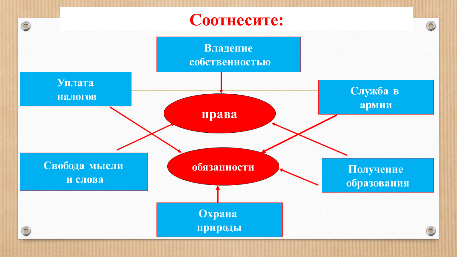 какие права и обязанности имеют члены бригады фото 60