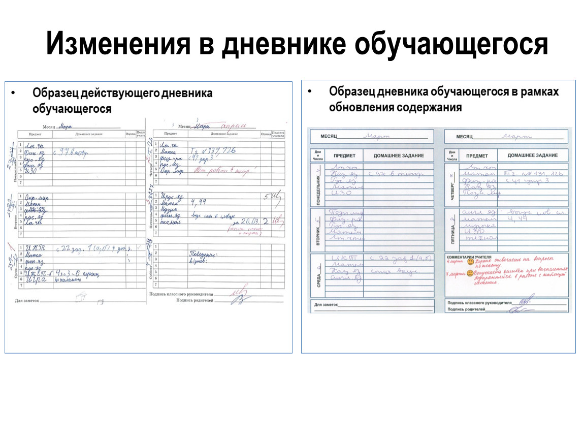 Дневник учащейся. Дневник обучающегося. Форма экскурсионного дневника обучающегося. Дневник обучающегося 2 класса. Экскурсионный дневник учащегося.