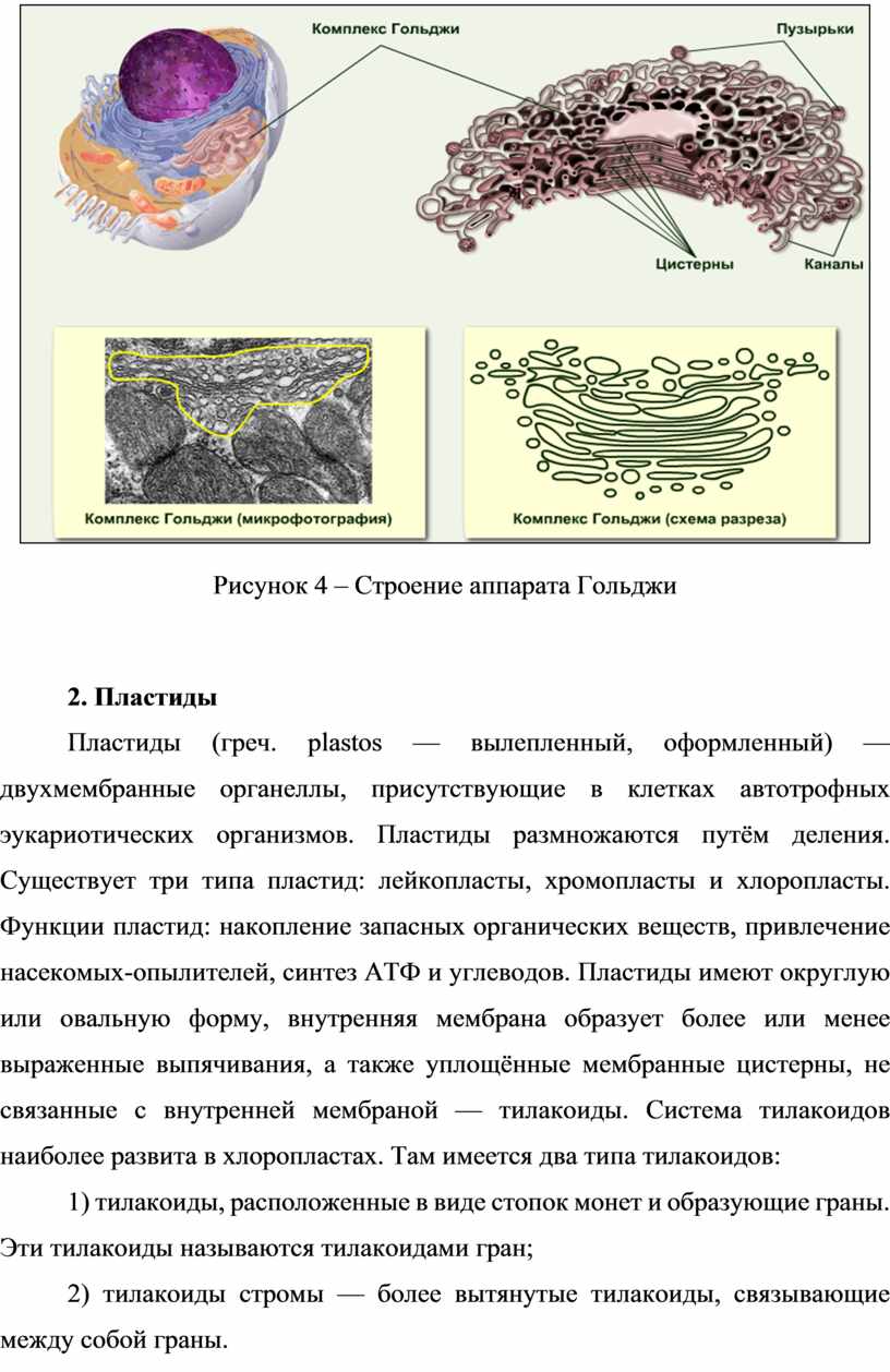 Рисунок 4 – Строение аппарата