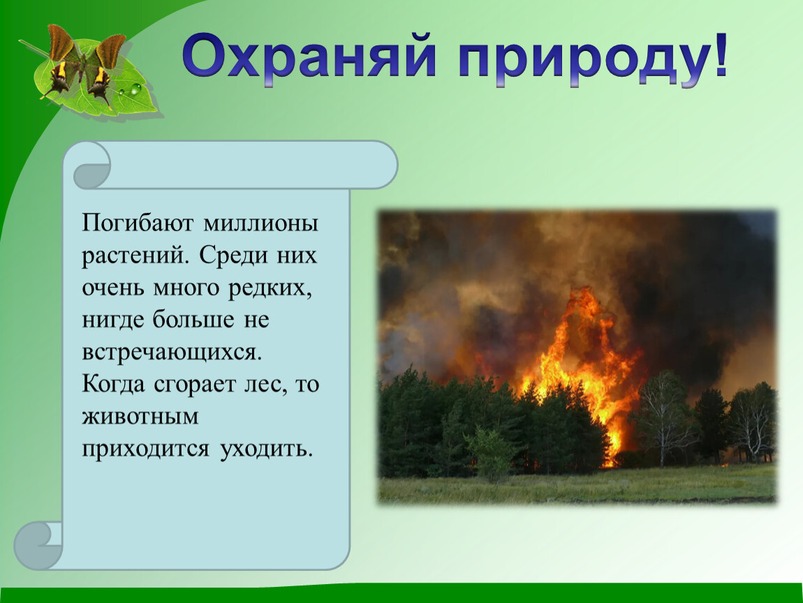 Береги природу презентация 6 класс