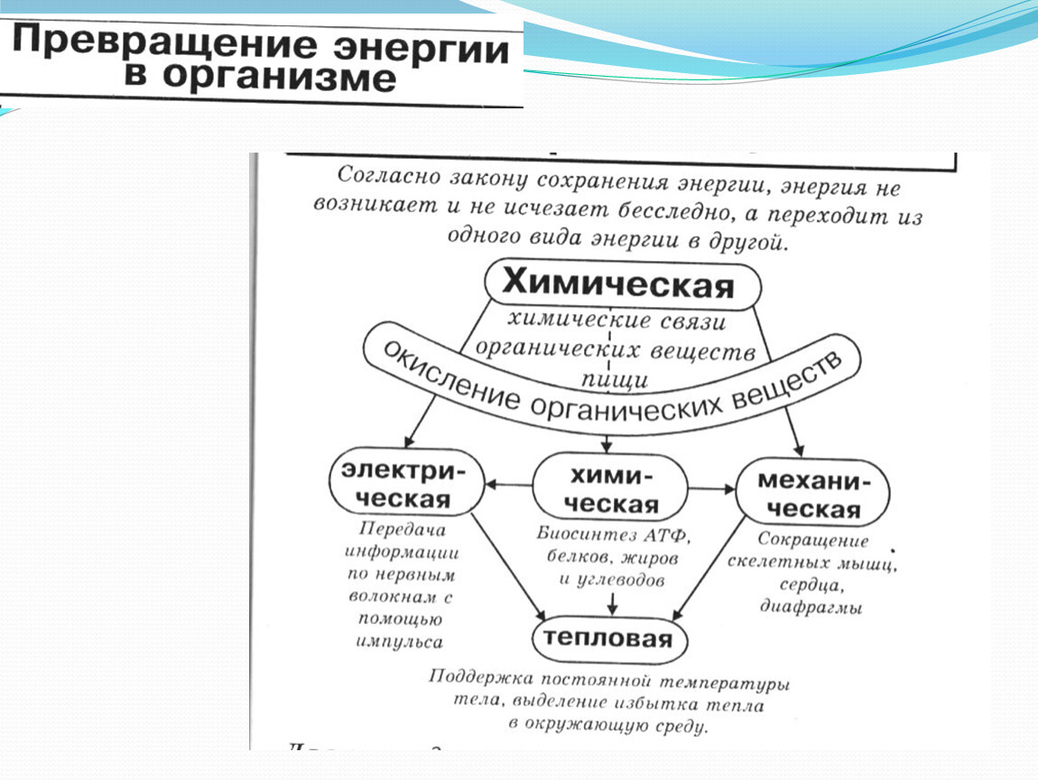 Схема превращения веществ