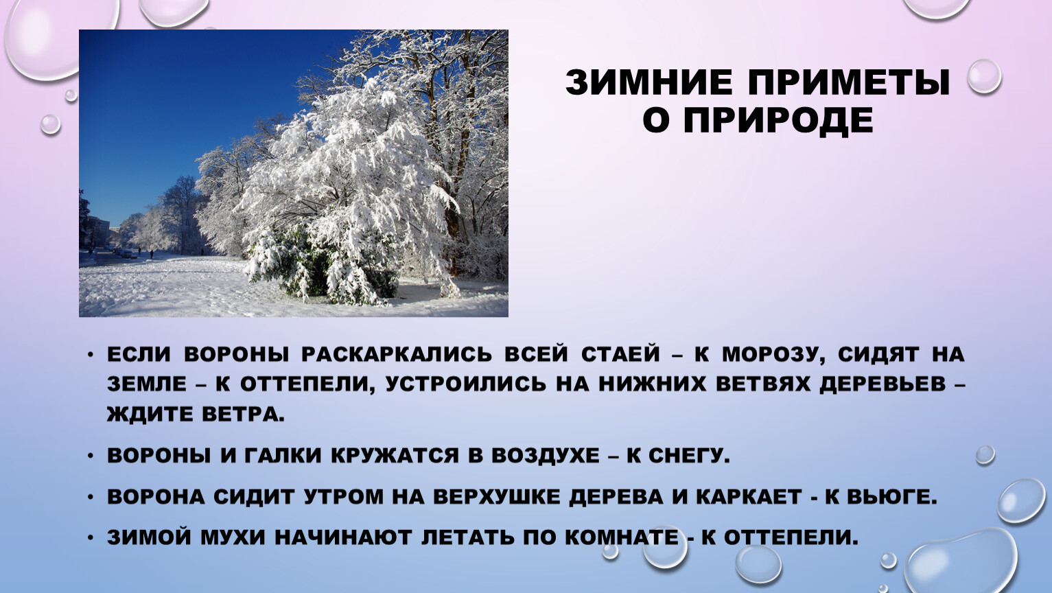 Зимние приметы. Приметы к Морозу. Приметы о зимней природе. Приметы о зимних явлениях природы. Погодная примета к Морозу.