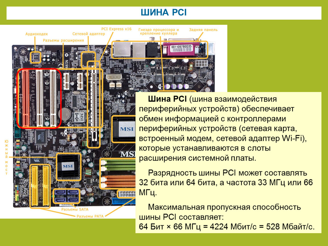 Слоты расширения адаптера. Материнская плата шина PCI. Материнская плата без PCI И PCI Express слотов. Слот системной шины PCIE. Слоты шины PCI-Express и PCI.