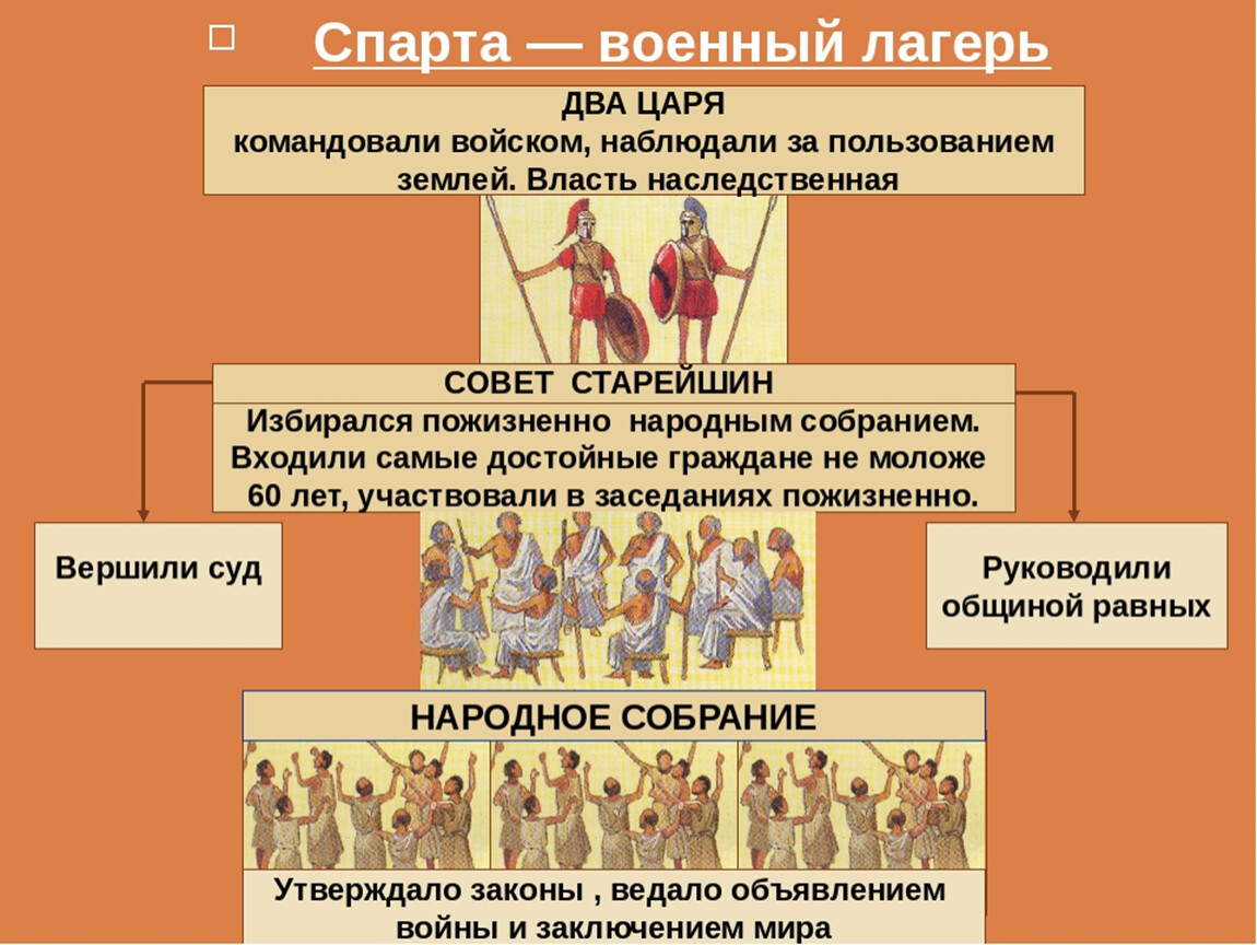 Схема политического устройства спарты