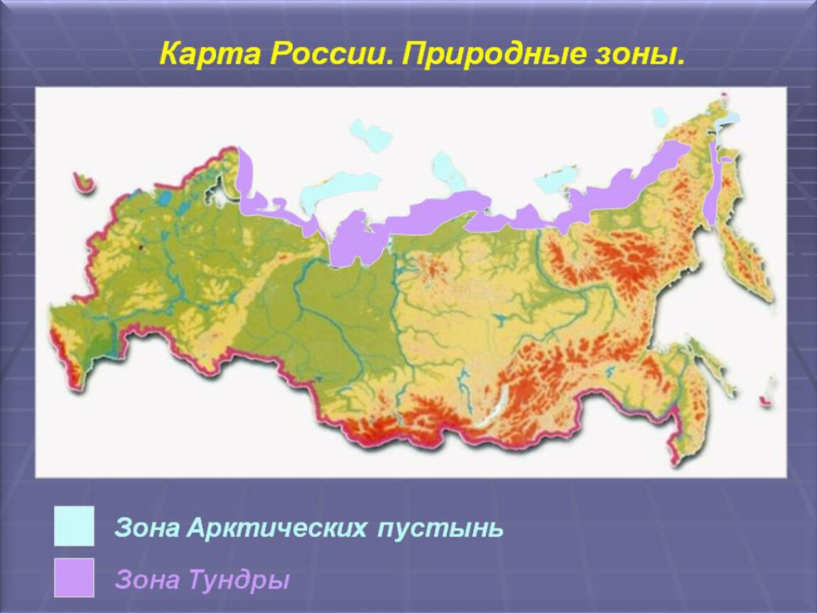 Тундра относительно морей и океанов. Карта природных зон России арктические пустыни. Арктическая пустыня природная зона на карте. Тундра на карте России. Тундра на карте природных зон.