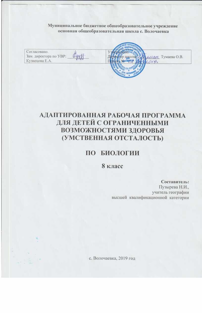 Адаптированная рабочая программа. Адаптированная рабочая программа основного. Рабочая программа по. Адаптированная рабочая программа для детей.