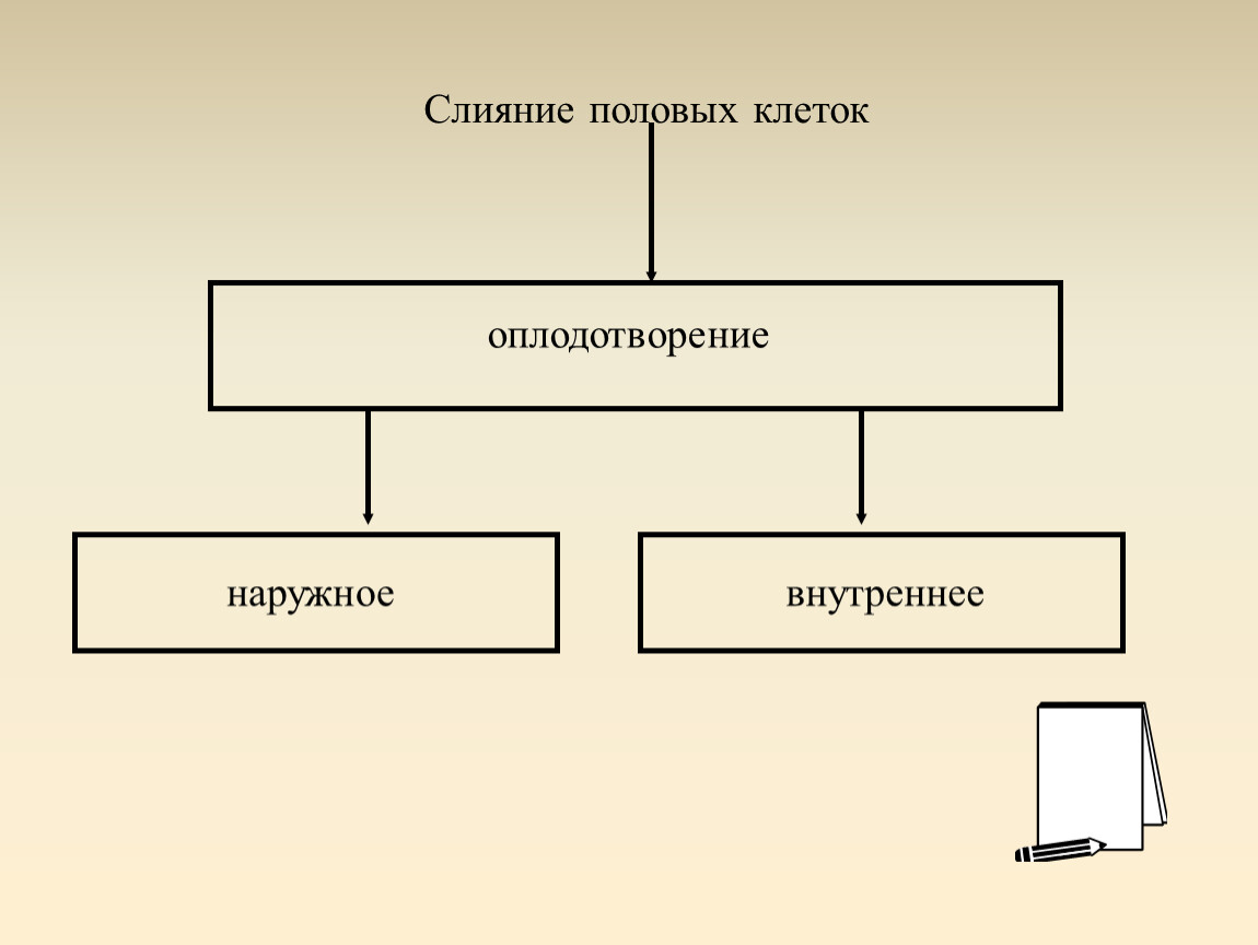 Способы размножения. Способы размножения животных. Размножение животных схема. Способы размножения животных схема. Схема способы размножения животных 7 класс.