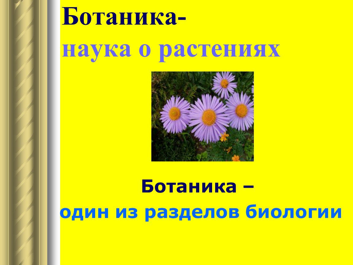 Ботаник наука о растениях. Ботаника наука о растениях. Ботаника разделы биологии. Ботаника наука о растениях 3 класс. Ботаника наука о растениях презентация.