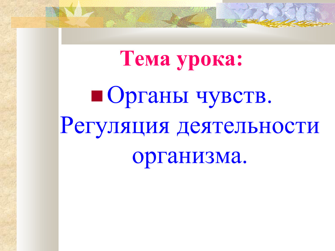 Органы чувств регуляция деятельности организма презентация