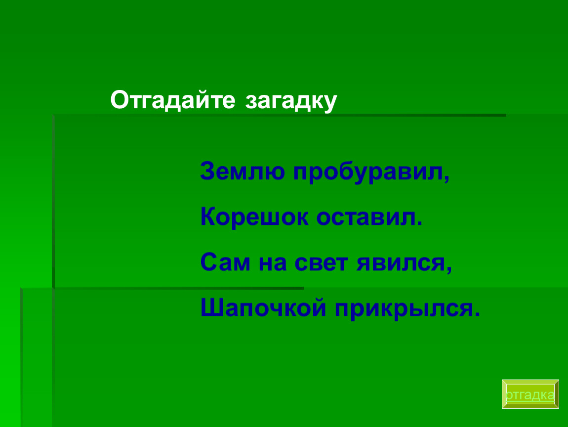 Загадки о земле кормилице и растениях. Загадки о почве. Загадки о земле. Загадки о земле и растениях. Загадки и пословицы о почве.