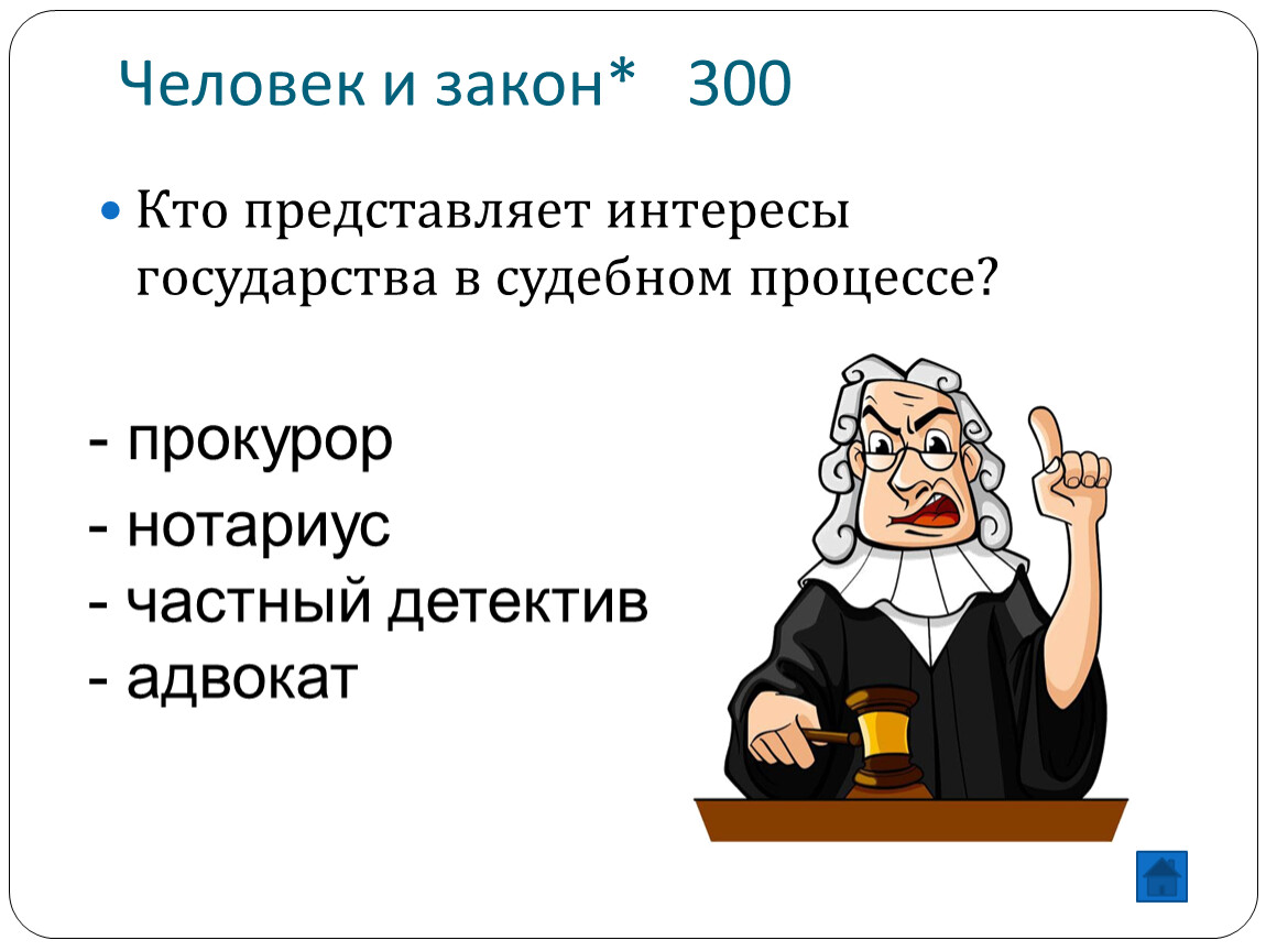 Кто обеспечивает. Кто представляет интересы государства в судебном процессе. Урок обществознания человек в бочки.