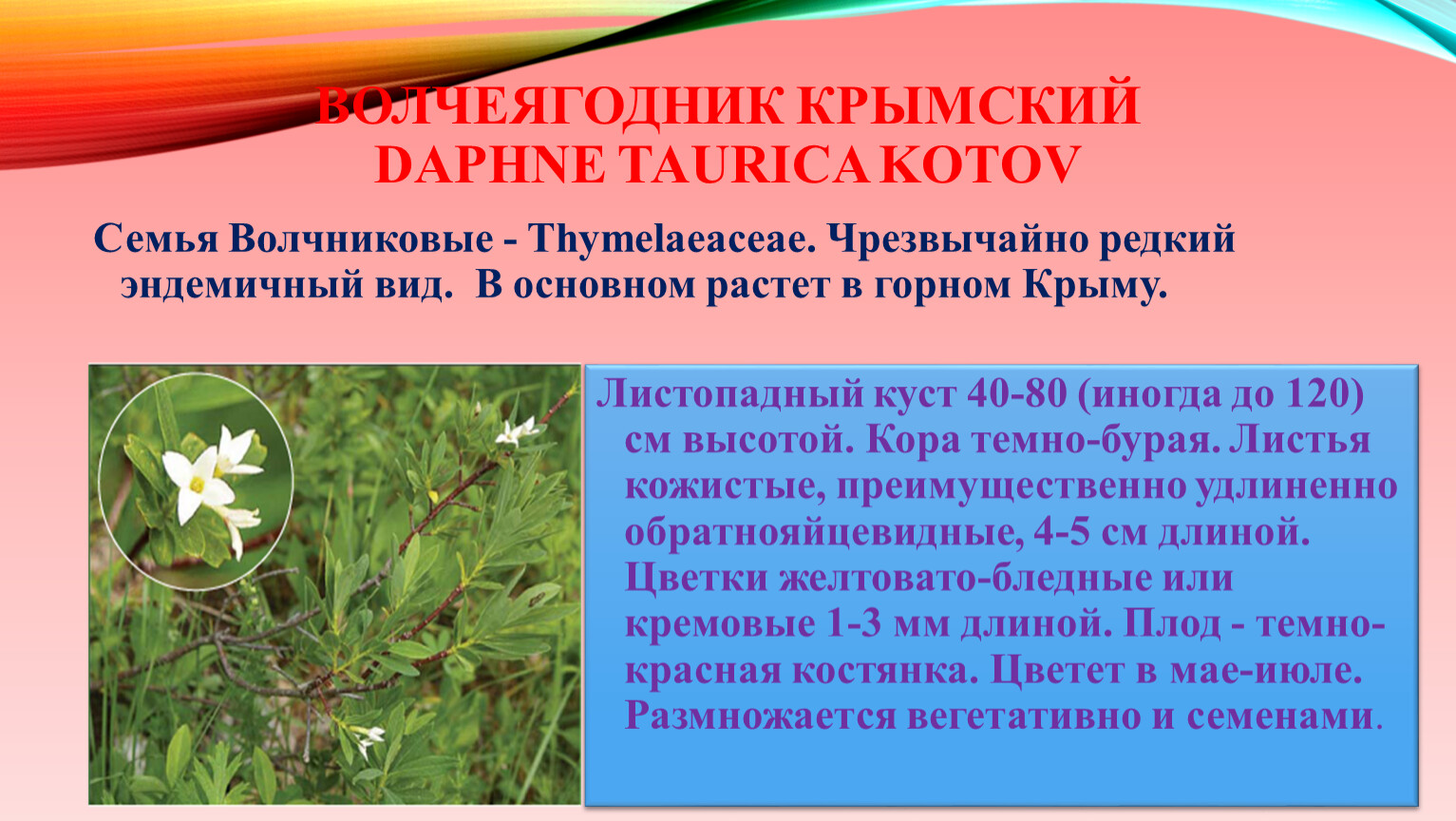 Черная книга Крыма растения