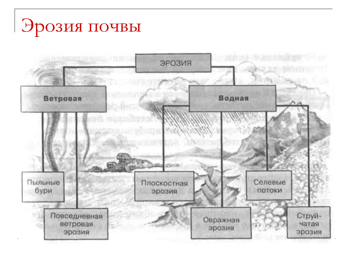 Эрозия почвы схема