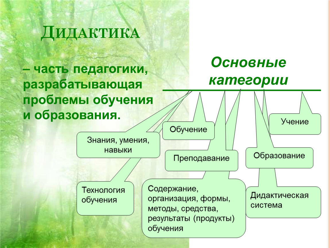 Дидактические методы. Дидактика это в педагогике. Основы дидактики. Дидактические понятия в педагогике. Структура дидактики.