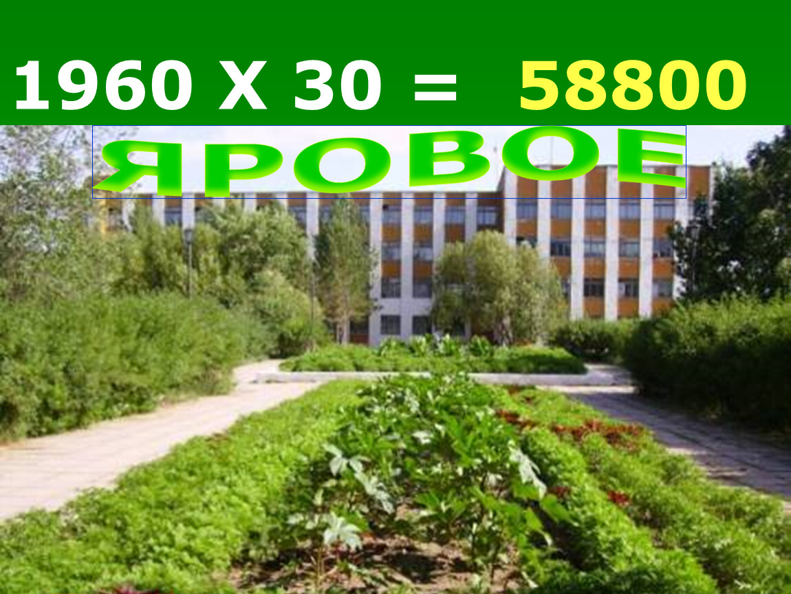 1960 Х 30 = 58800 ЯРОВОЕ