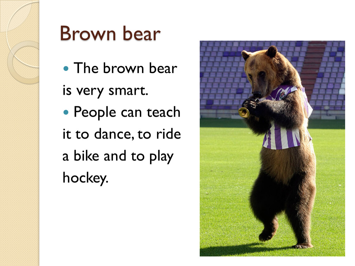 Английский язык brown. Bear по английскому. Медведь Браун. Описание бурого медведя на англ яз. Как по английски будет it is a Bear.