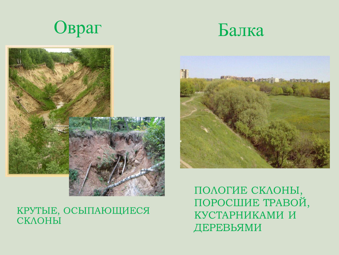 Поверхность нашего края 4 класс окружающий. Овраги и балки. Формы оврагов. Овраг и балка различия. Овраги и балки рисунок.