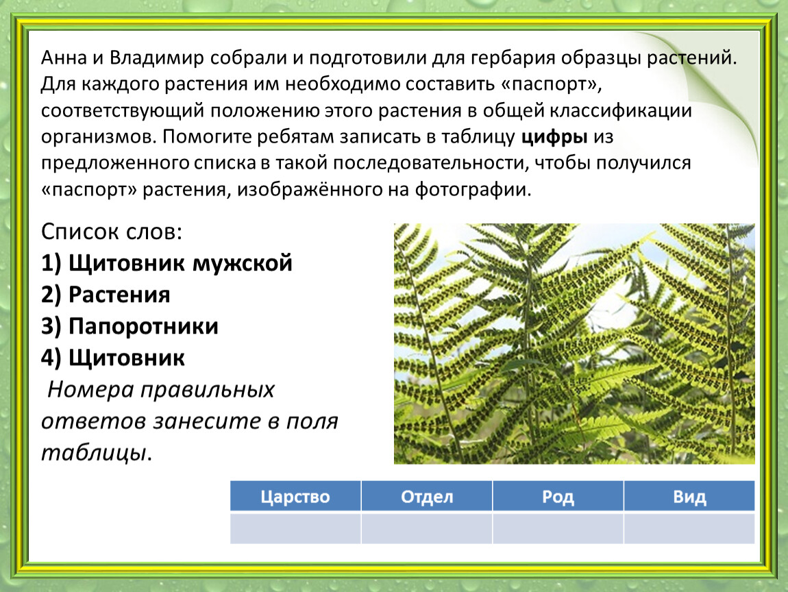Светлана и максим собрали и подготовили для гербария образцы растений для каждого растения ответ