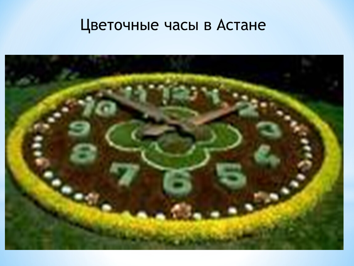 Астана который час. Цветочные часы. Цветочные часы Астана. Цветочные часы клумба. Цветочные часы в Казахстане.