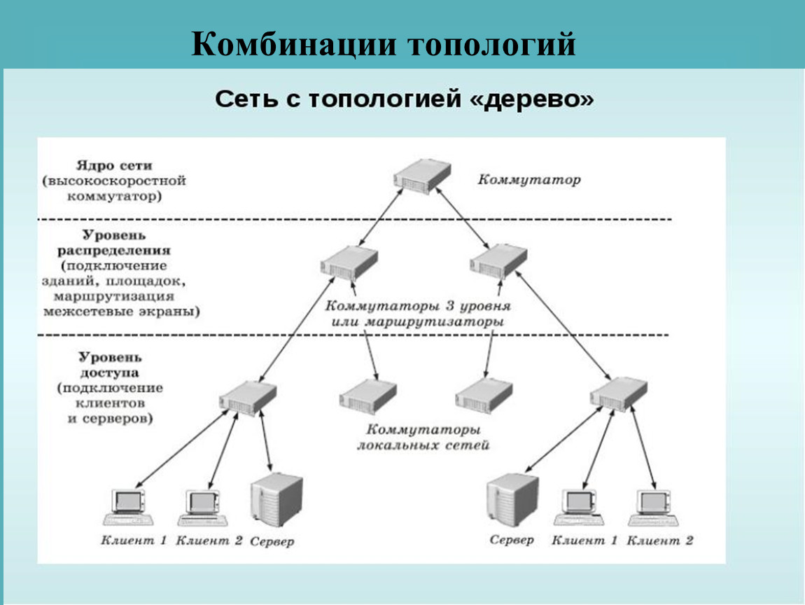 Мал сеть. Древовидная топология плюсы. Комбинации топологий. Схема смешанной топологии. Смешанная топология схема.