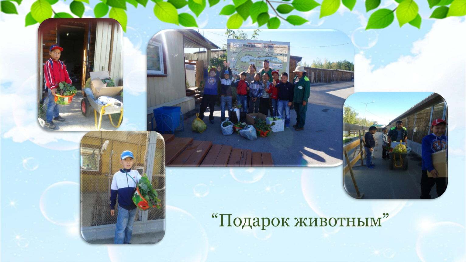 “Подарок животным”