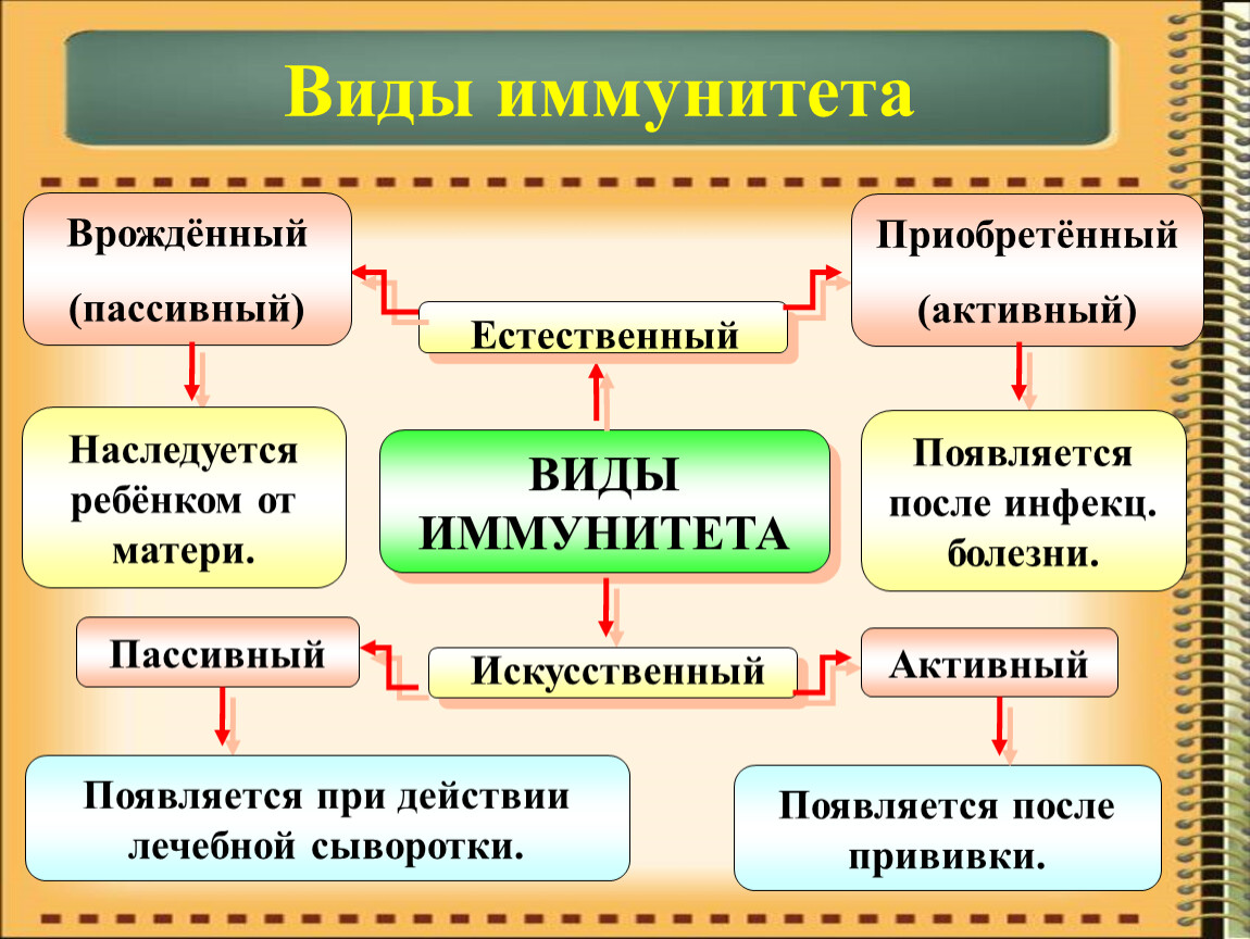 Презентация на тему иммунитет 8 класс биология