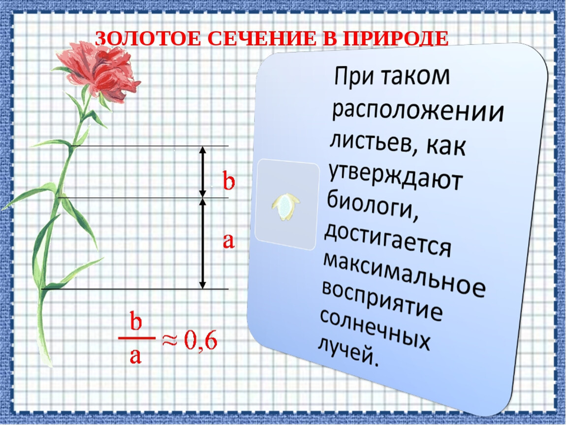 Золотое сечение в геометрии проект