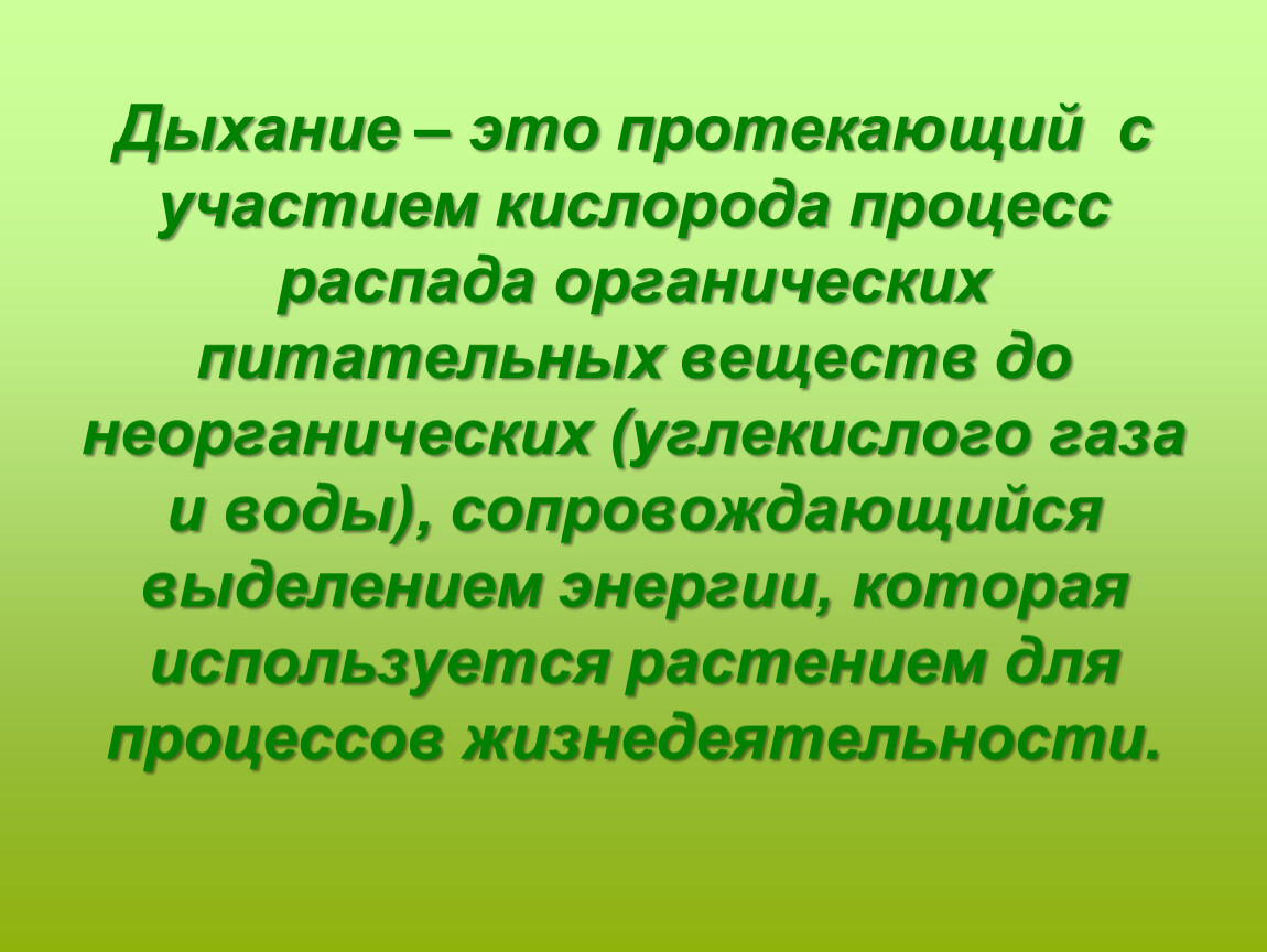 Дыхание это процесс. Дыхание. Процессы протекающие с участием кислорода. Процесс распада органических веществ до неорганических. Процесс дыхания растений протекает.