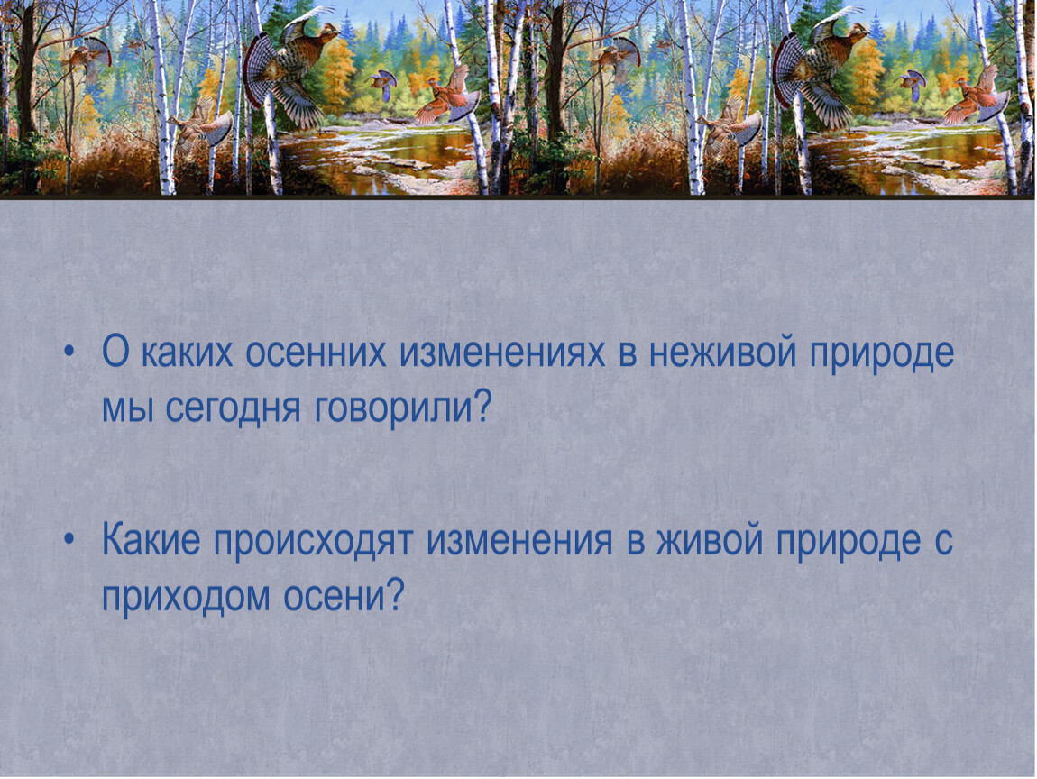 Изменения в живой и неживой природе. Осенние изменения в живой и неживой природе. Изменения в живой природе осенью 2 класс. Изменение в природе с наступлением осени. Изменения в неживой природе осенью 2 класс.