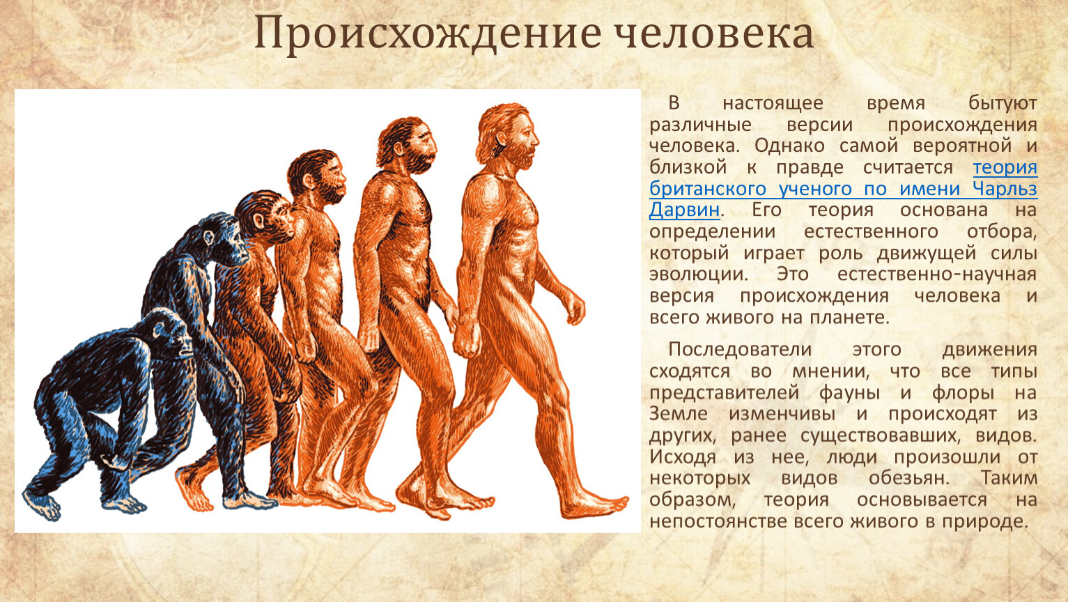 Как люди представляют возникновение человека